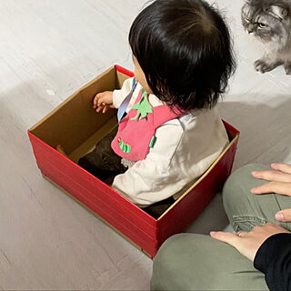 赤ちゃんのいる暮らし/赤ちゃんがいる生活/ねこのいる日常/ねこと暮らす。のインテリア実例 - 2022-11-29 22:29:15