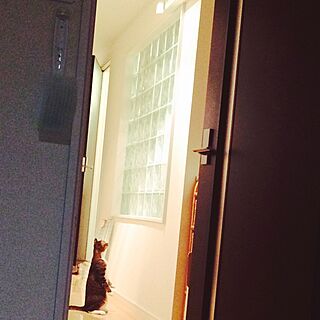 ねこ/部屋全体/廊下/デザイナーズ風/風呂を覗く...などのインテリア実例 - 2015-10-23 13:05:48