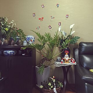 リビング/お正月の飾り/観葉植物のインテリア実例 - 2016-12-28 16:14:10