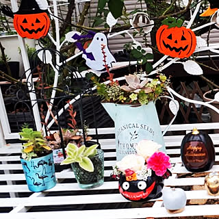 部屋全体/Halloween飾り/しょくぶつのある暮らし/自粛生活を楽しむ♪/多肉植物...などのインテリア実例 - 2020-10-10 18:46:50