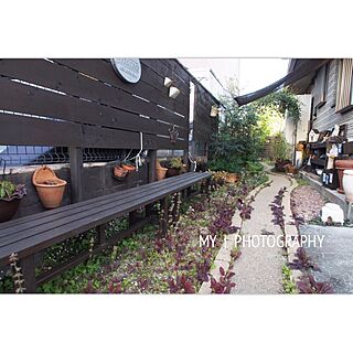 植物/植物が好き/母の手作りの庭/DIY棚/グリーンのある暮らし...などのインテリア実例 - 2016-05-25 15:43:58