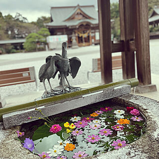 白鷺神社/栃木/お参り/神社/御朱印...などのインテリア実例 - 2021-09-26 18:52:47