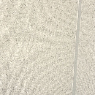 壁/天井のインテリア実例 - 2020-03-31 19:48:55