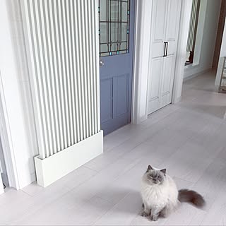 壁/天井/冷暖房機器/海外インテリアに憧れて♡/猫写真はインスタに→0430y/いつもいいねやコメントありがとう♡...などのインテリア実例 - 2017-06-19 13:57:09