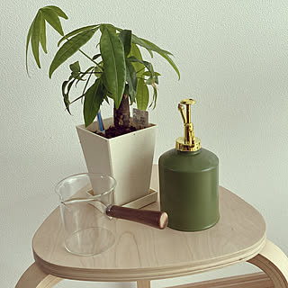 ダイソー観葉植物/ZARA HOME/RoomClipアンケート/リビングのインテリア実例 - 2021-03-16 10:46:17