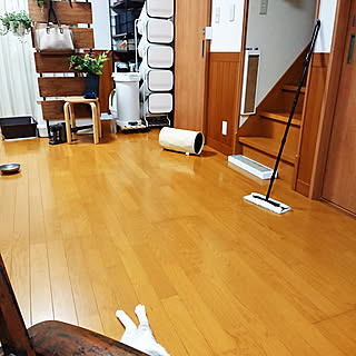 部屋全体/ペットと暮らすインテリア/猫との暮らし/多頭飼いの家/雑貨...などのインテリア実例 - 2021-05-22 19:27:18