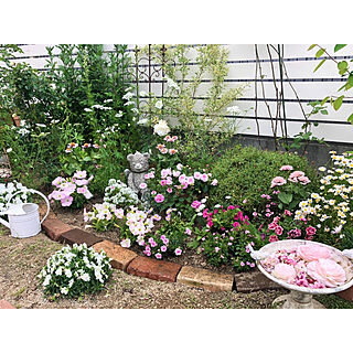 花壇/庭/ガーデニング/庭の花/花のある暮らし...などのインテリア実例 - 2021-05-11 17:28:21