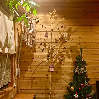 リビング/くるみの殻/松ぼっくり/クリスマスツリー/杉の木...などのインテリア実例 - 2016-11-17 23:36:55