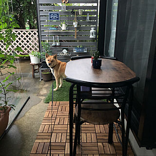 ウッドパネル/やっぱり犬☺︎/庭/カフェテーブル/ガーデンカフェ...などのインテリア実例 - 2020-07-28 19:21:26