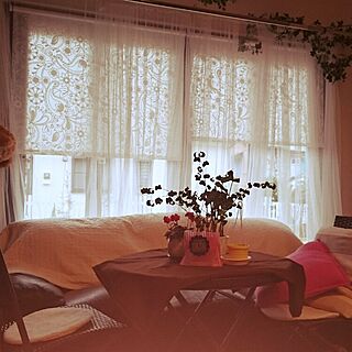 部屋全体/観葉植物/ソファ/ガーデンセット/IKEAカーテンのインテリア実例 - 2016-02-16 11:37:30