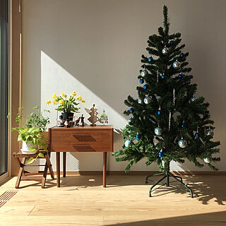 クリスマスツリー150cm/杉　無垢　床/漆喰壁/高気密高断熱/リビングのインテリア実例 - 2022-11-04 10:55:22