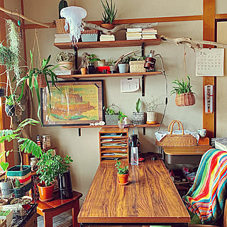観葉植物 ナウシカの温室に憧れてのおしゃれなアレンジ 飾り方のインテリア実例 Roomclip ルームクリップ