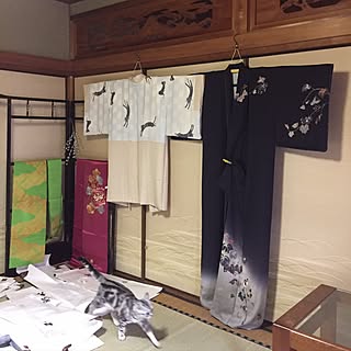 部屋全体/帯♡着物♡衣桁/築40年/カメラマーク消し☆/こねこじゃなくなった...などのインテリア実例 - 2017-04-10 14:33:57