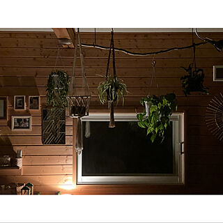 真鍮ミラー/間接照明/植物のある暮らし/植物と暮らす/ハンギングプランツ...などのインテリア実例 - 2021-08-12 09:28:39