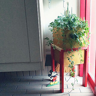 玄関/入り口/癒し/観葉植物のある暮らし/シュガーパイン/DIY...などのインテリア実例 - 2022-01-12 09:53:05