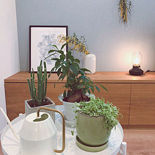 観葉植物/こどもと暮らす。/すっきり暮らしたい/植物のある暮らし/IKEA...などのインテリア実例 - 2020-03-14 19:18:38