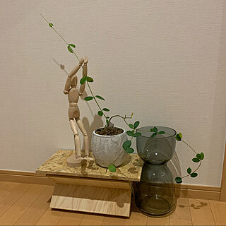 フォッケア エデュリス/火星人/植物のある暮らし/観葉植物/DIY...などのインテリア実例 - 2020-03-13 23:57:19