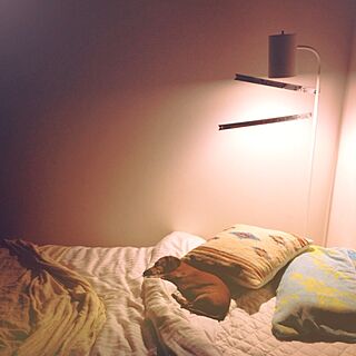 ベッド周り/ベッド ニトリ/照明 ニトリ/フロアライトのインテリア実例 - 2013-06-18 17:06:14