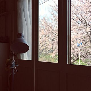リビング/ひっそりとジェラトーニ/IKEA 照明/折れ戸DIY/窓...などのインテリア実例 - 2016-04-06 07:40:35