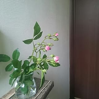 バス/トイレ/ピンクの花/花/グリーンのある暮らし/植物のある暮らし...などのインテリア実例 - 2017-06-07 21:37:38