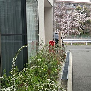 玄関/入り口のインテリア実例 - 2016-04-03 22:23:27