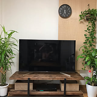 観葉植物/DIY/リビングのインテリア実例 - 2020-08-30 17:34:04