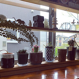 窓のディスプレイ棚DIY/おうち時間/DIY/花のある暮らし/植物...などのインテリア実例 - 2021-04-10 11:20:01