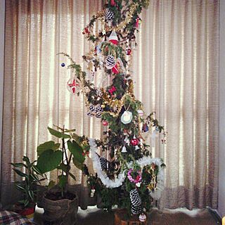 リビング/クリスマスツリー/ウンベラータのインテリア実例 - 2014-11-27 22:45:04