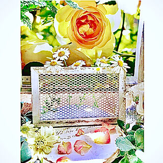 お花フランネルフラワー☆/お花ノースポール☆/黄色い薔薇のカレンダー/バラ/見て頂きありがとうございます⑅︎◡̈︎*...などのインテリア実例 - 2021-05-04 07:49:19