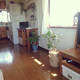 パキラ/観葉植物/ゴムの木/ベンガレンシス/部屋全体のインテリア実例 - 2015-07-19 21:18:49