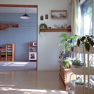リビング グリーンカーテンのおしゃれなアレンジ 飾り方のインテリア実例 Roomclip ルームクリップ