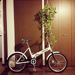 リビング/一人暮らし/観葉植物/折りたたみ自転車のインテリア実例 - 2016-04-22 19:43:25