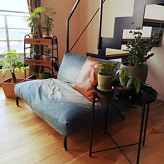 部屋全体/ジャーナルスタンダード ファニチャー/IKEA/観葉植物/観葉植物のある暮らしのインテリア実例 - 2018-10-14 13:26:24