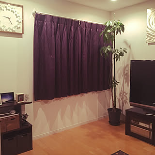 紫カーテン/観葉植物/リビングのインテリア実例 - 2019-09-27 21:45:02