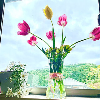 春のお花達/春の訪れ感じます(*˘︶˘*)./チューリップ咲きました♡/リビングのインテリア実例 - 2022-04-15 14:53:04
