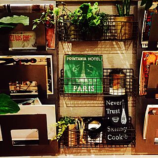 棚/IKEAマガジンラック/観葉植物/雑貨のインテリア実例 - 2015-10-09 19:43:39
