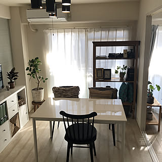 IKEA/カラックス/観葉植物/部屋全体のインテリア実例 - 2021-10-03 09:24:26