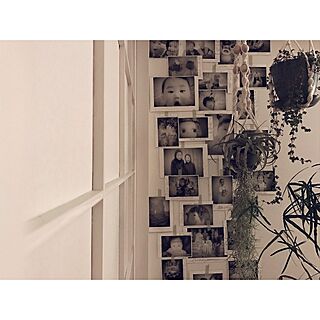 写真コラージュ/観葉植物/壁/天井のインテリア実例 - 2017-05-14 23:16:55