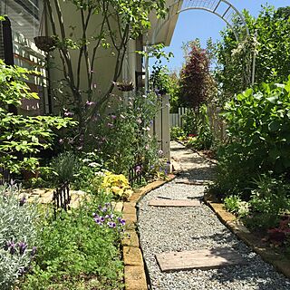 ベッド周り/手作りの庭/砂利の小道DIY/ガーデニング/ガーデン...などのインテリア実例 - 2016-05-13 11:28:37