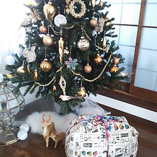 玄関/入り口/H.P.DECO/クリスマスツリー/クリスマスプレゼントのインテリア実例 - 2013-12-20 10:03:11