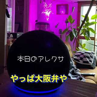 間接照明のある暮らし/カラーLEDライト/Instagramへ/会話を楽しむ/うちのアレクサ...などのインテリア実例 - 2022-07-19 21:42:48