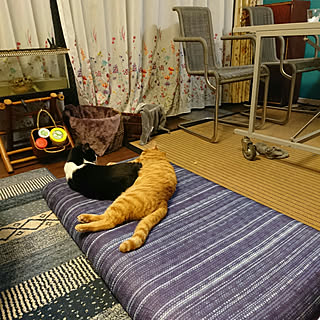 リビング/猫のいるお部屋/つつみかくさない日常。笑。/ちょっとひと休み♪のインテリア実例 - 2018-06-28 19:47:08