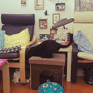 お気に入りの猫ハウスを死守/ミニチュアディスプレイ/IKEAの椅子と机/ダイソー布のクッションカバー/先代猫jijiの猫ハウス...などのインテリア実例 - 2021-09-03 21:44:05