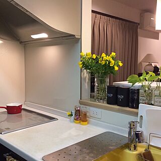 キッチン/人造大理石 キッチン/キッチンはダークブラウン/黄色の流し/観葉植物のある部屋...などのインテリア実例 - 2017-05-27 00:11:54