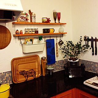 キッチン/IKEA/観葉植物　/マグネットナイフラックのインテリア実例 - 2015-01-15 13:05:51