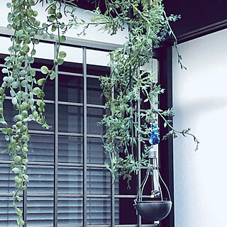 風呂窓/壁/天井のインテリア実例 - 2022-08-06 18:14:18