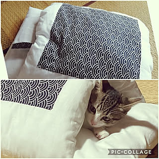 ねこと暮らす/猫用布団/猫グッズ/保護猫→家猫/ハンドメイド...などのインテリア実例 - 2021-08-08 11:59:25