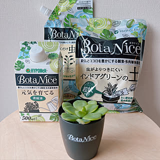 BotaNice/虫対策/植物のある暮らし/多肉植物/観葉植物...などのインテリア実例 - 2022-07-02 10:46:04