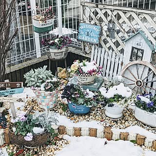 壁/天井/季節を楽しむ暮らし/プチ花壇/雪景色/ガーデニング...などのインテリア実例 - 2024-02-06 10:52:04