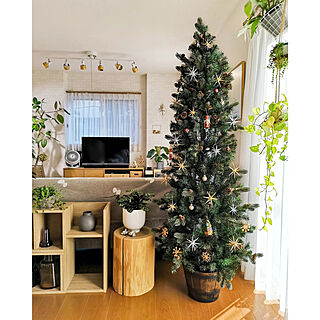 リビング/クリスマス/クリスマスツリー180cm/北欧インテリア/好きなものに囲まれた暮らし...などのインテリア実例 - 2022-11-18 22:37:35